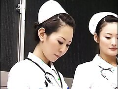 那是我最喜欢的护士5